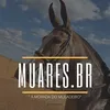 Muares BR 🇧🇷