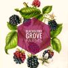 blackberrygrovefarms