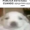 hectorherrera27