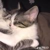 bluekisses00