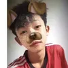 damlam20538