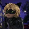 catnoir591