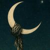 moonlight76888