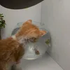 ltrnntruc