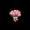 يونــا المتــواضعة🌷