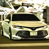 yupimarucamry