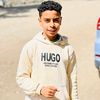 karim.mohamed0337