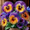 papa_ki_pari._7