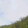 puran_singh63