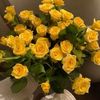 nouf6289