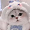 user620568178