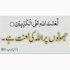 aneela.farooq2