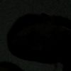 user83801777600158