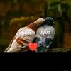 uyuz💔 gıcık