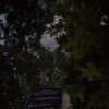 ilop_28