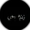 zindalaash171