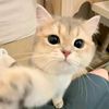 salima_ima_11