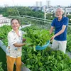 Gia Dụng Mỗi Ngày