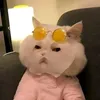 niannianbb