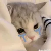 dudat_09