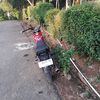 anggi135king