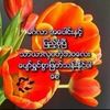 usersoelay235