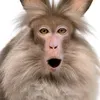 pykkikaki