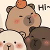 hangwin.hangwin
