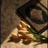 islam_1.i
