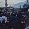 apip__40
