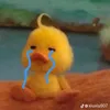 k14._.1