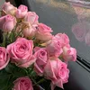 soukaaina__8