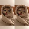 thchuche26