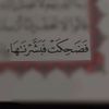user785452446175