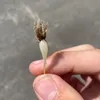 alfieisalr