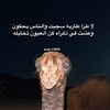 zaeab.sa404