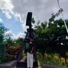 lwin.aung06