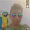 gif.ufzi