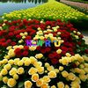 user8613196797049