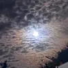 giuly_0004