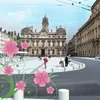 annibal69lyonnais