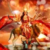 ivan.vasilev817