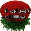 user6241791571747