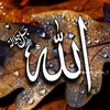 user4993813360328