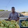 jlali.mounir
