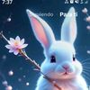user4968724042325