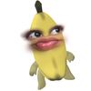 7.alis_jc