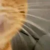 lostream1