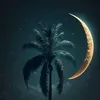 2zzz72