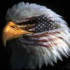 tom.davis845